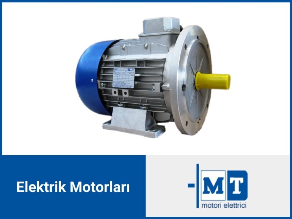 MT MOTORİ ELETTRİCİ TNS