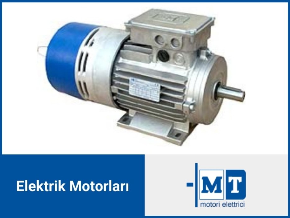 MT MOTORİ ELETTRİCİ DFP